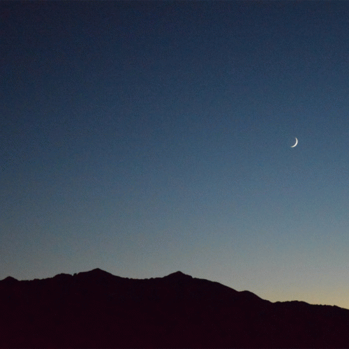 Evergreen Refuge : Reflection - Resolution